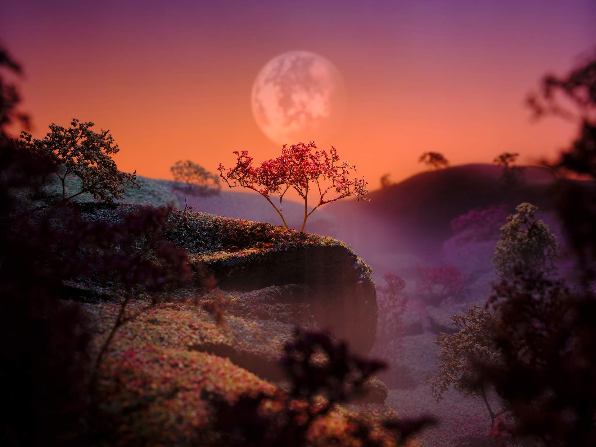 Peering through trees, we can see an illuminated autumn tree on top of a hill in the distance, with fog gently rising from behind the landscape. In the distance are mountains, donned with more trees, clouded with shadow. Above the autumn tree, we can see a giant moon in the sky. 