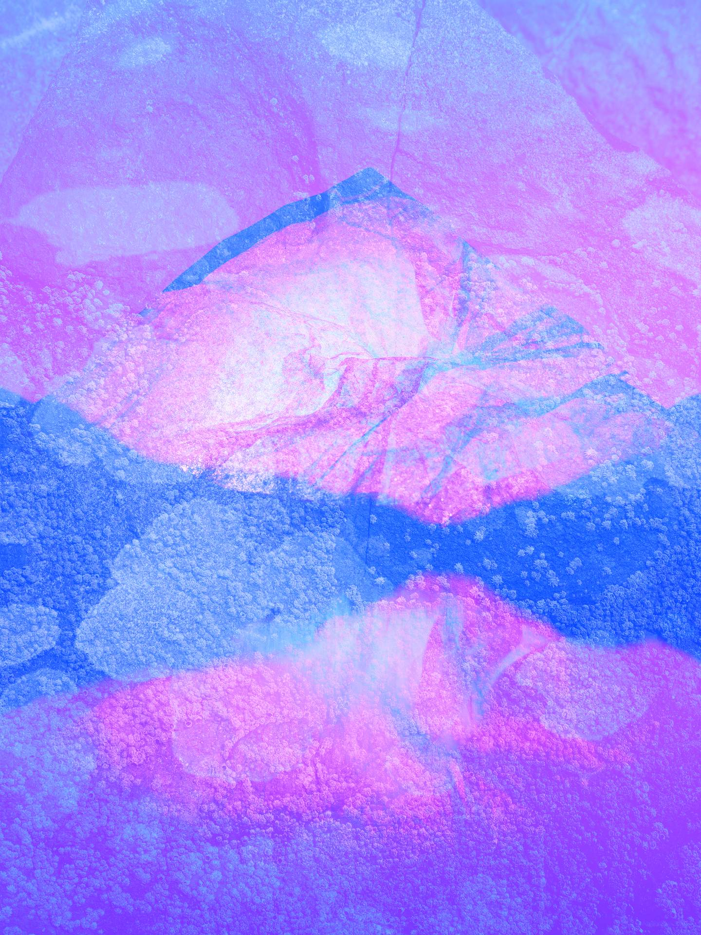A digital collage of multiple images layered on top of each other. There is a mountain in the centre, and layered over this is an image of a rock face covered with small coastal creatures. The image is made up of purple and blue colours, and appears somewhat dreamy.