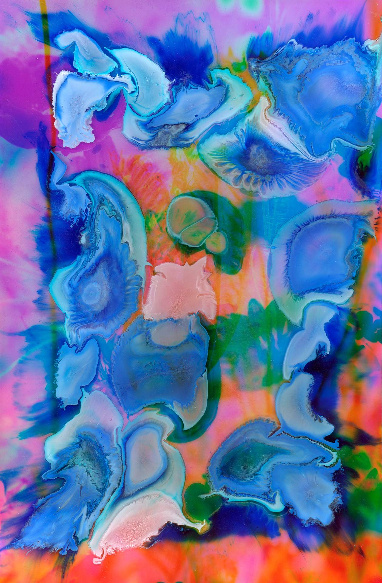 A swirl of blue and white ink on top of a digital photographic collage. The collage depicts layers of images of wildflowers and plants in an array of hyper-realistic colours.
