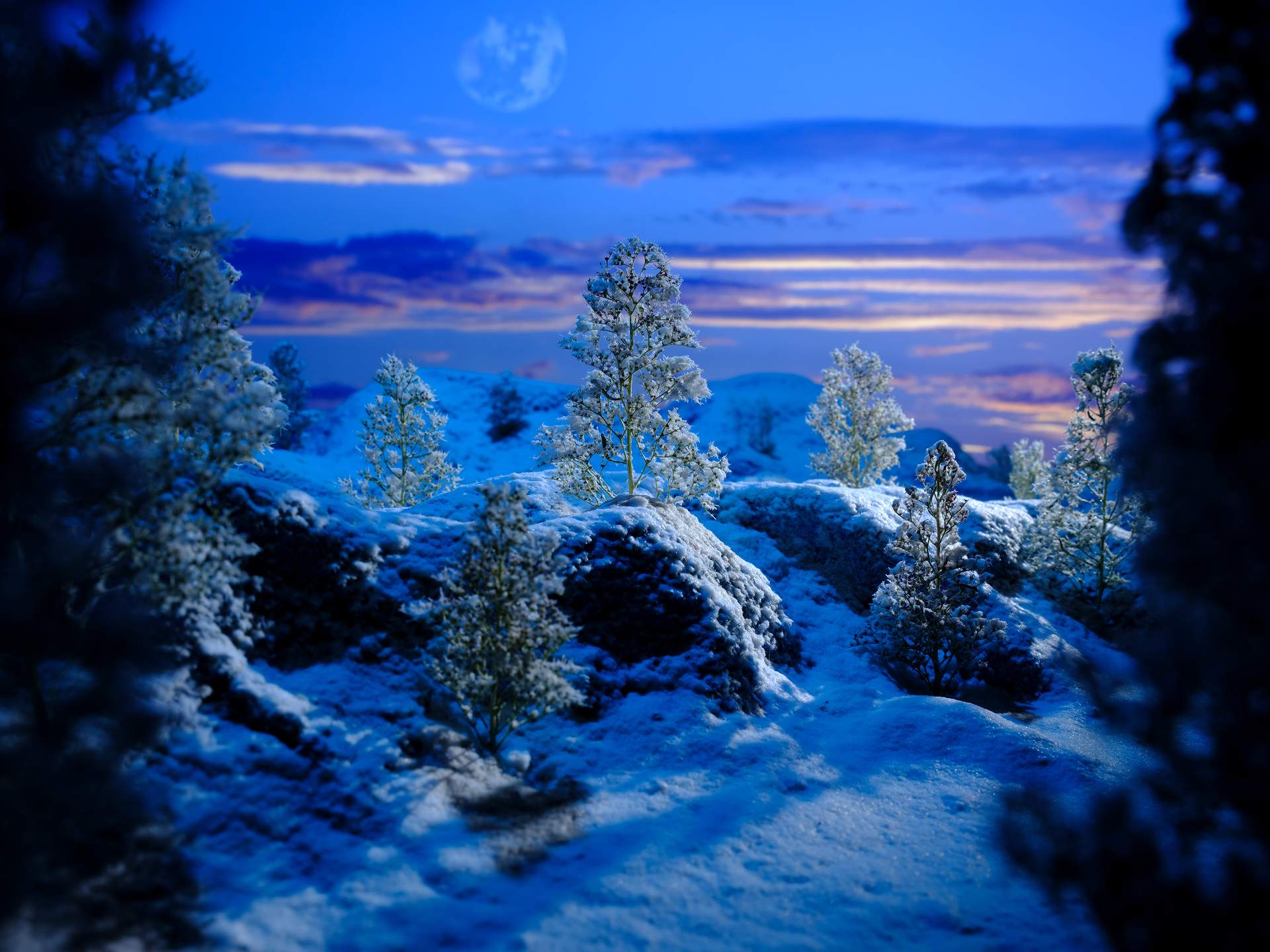 Peering between two trees, we can see a wintry landscape covered in snow. Our focus is the tree in the middle, which sits upon a small hill in the foreground. Light, coming from the setting sun in the east, gently illuminates the landscape, causing the snow to sparkle. A moon can be seen faintly in the sky above, and streaks of clouds sit on the horizon.