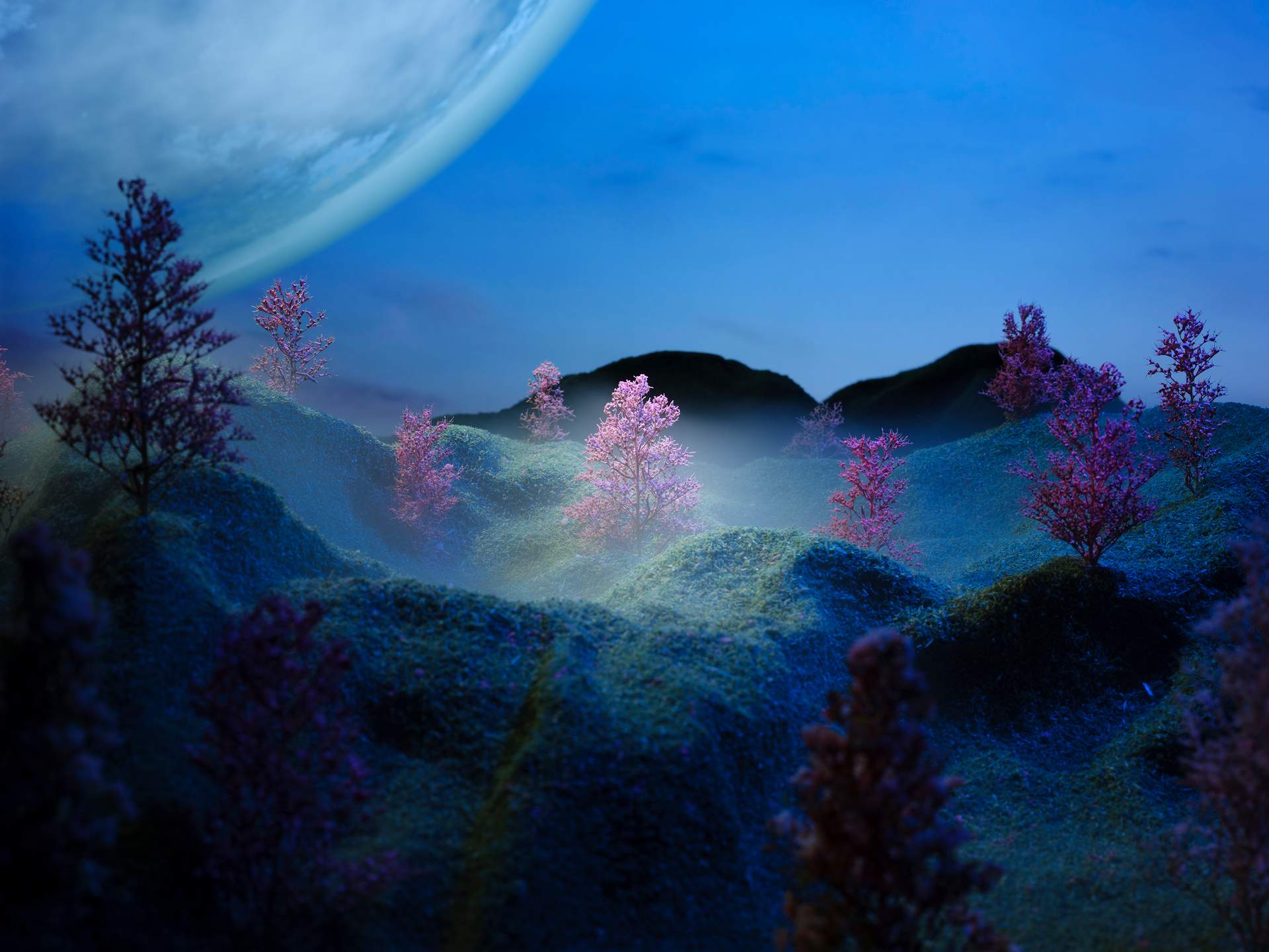 A grassy landscape covered in cherry blossom trees can be seen. The focus of the photograph is the tree in the centre, which appears illuminated by a soft white glow and surrounded by a thin mist. The silhouettes of mountains can be seen in the distance, against a blue night sky. In the top-left of the sky is a huge moon.