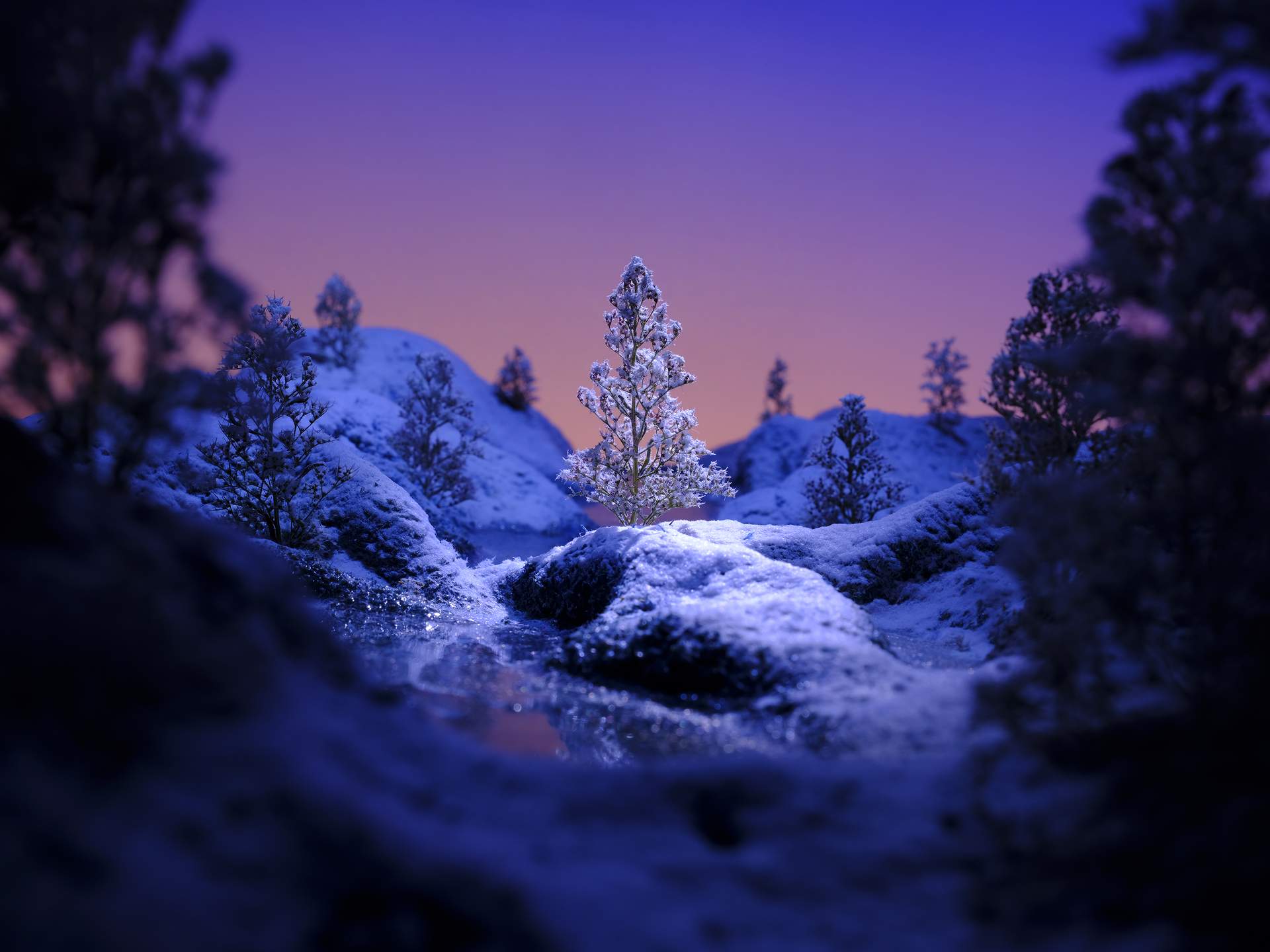 A wintry landscape, covered in snow, can be seen. It appears that we are looking towards a river or a lake. In the centre, a tree stands upon a small island within the water. The sunset behind has a spectacular gradient, cascading from orange, to pink, to purple.