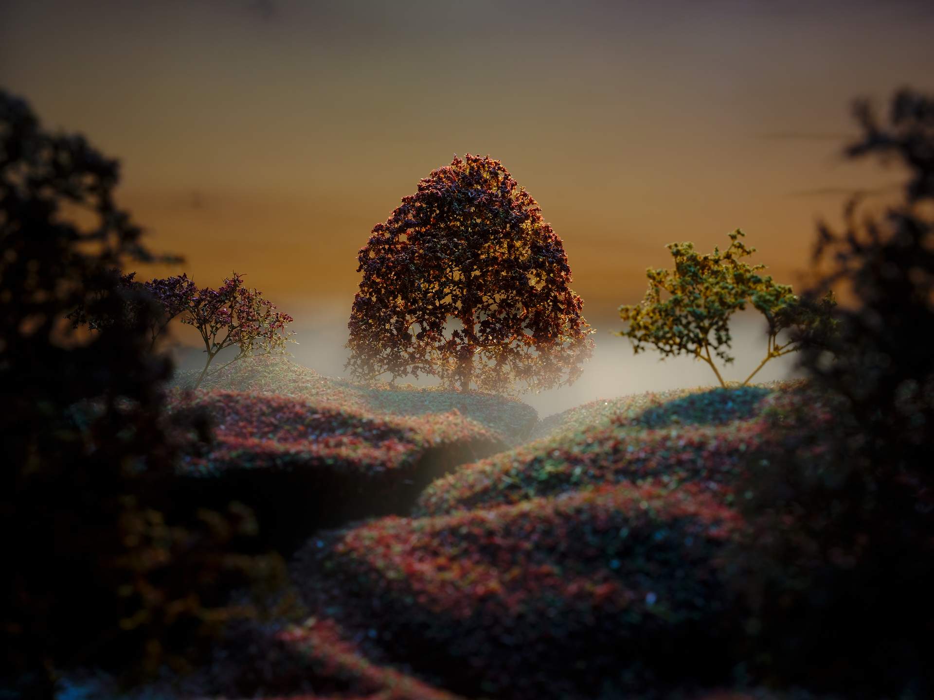 Peering between two trees in the foreground, we see an autumn tree on top of a hill, with red and golden leaves, set against a warm sunset sky. At the base of the tree is white mist.