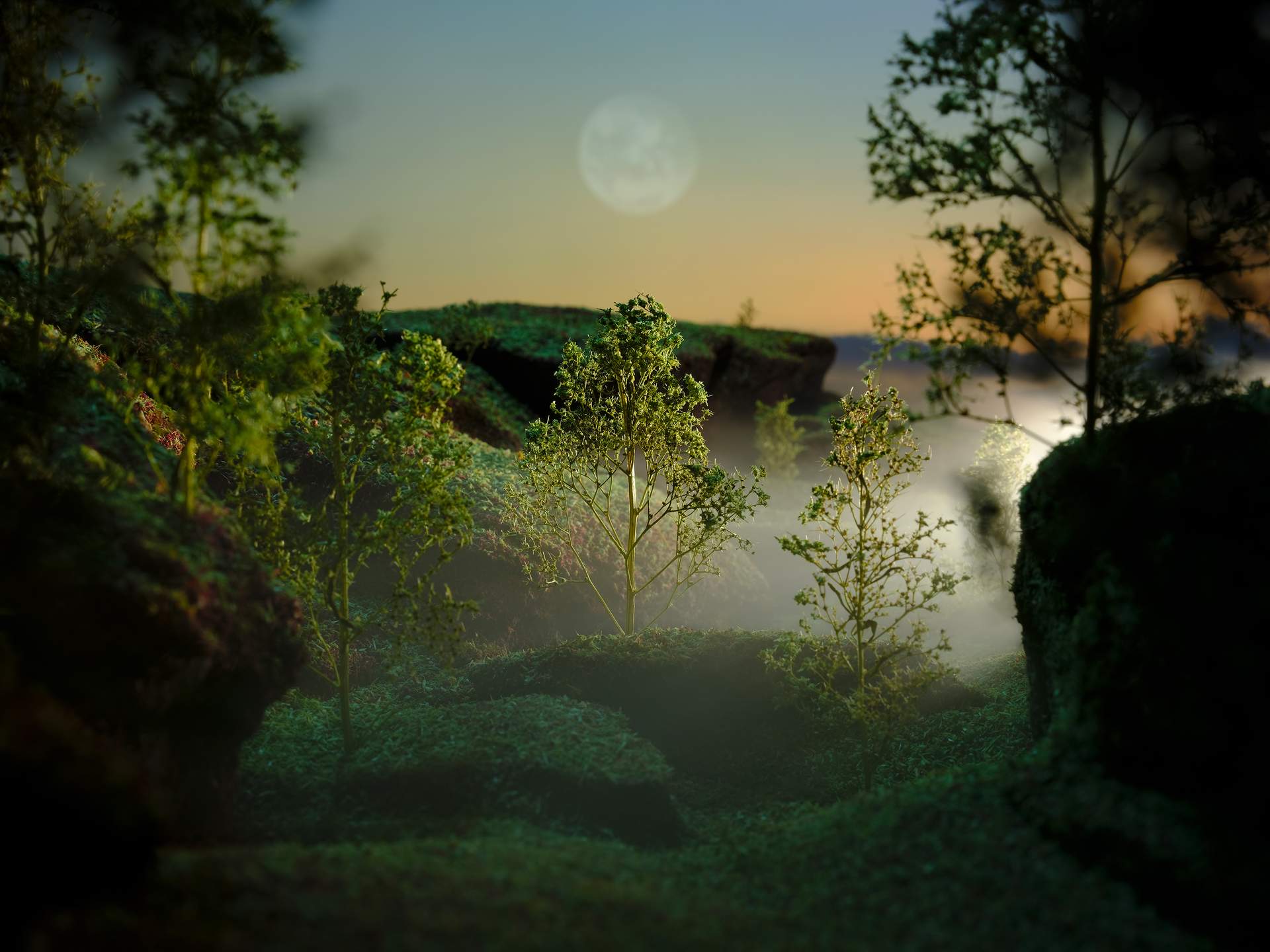 A mountainous landscape covered with trees can see seen. Peering through two earth banks into a clearing, we can see a tree covered with green leaves at the centre. Emerging from the right is a thick white mist, which casts a faint glow upon the trees. Behind this, in the distance, is a mountain, set against an evening sky, with a moon hovering just above the tree at the centre.