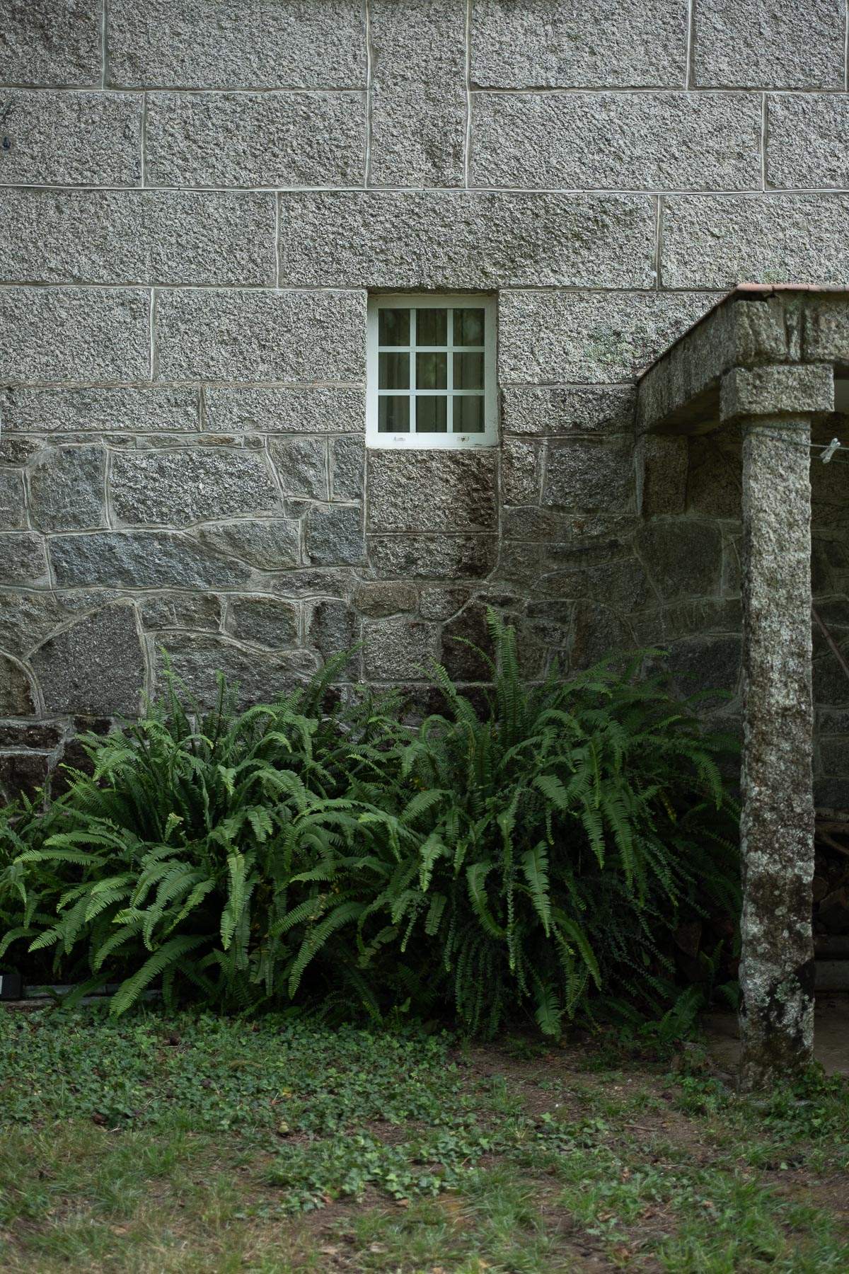 UNA CASA, UN HOGAR