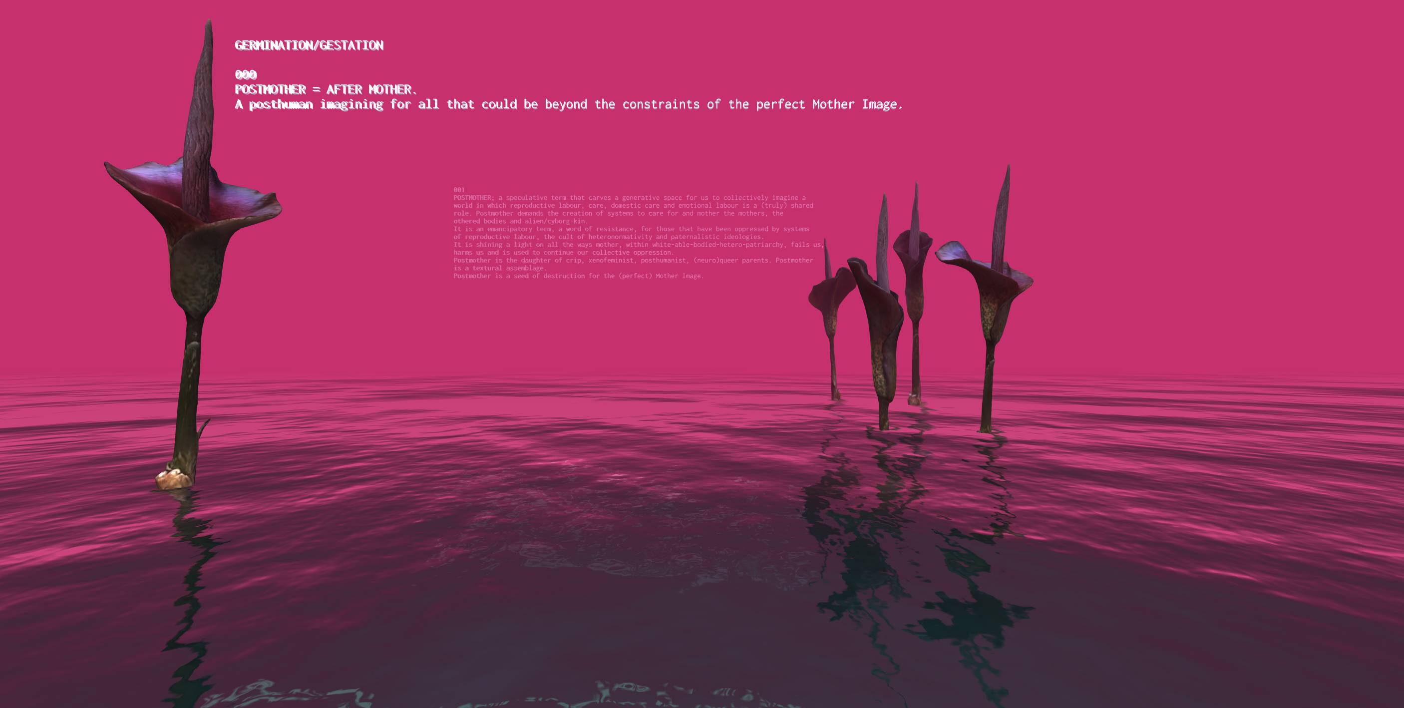 Main image for GERMINATION/GESTATION