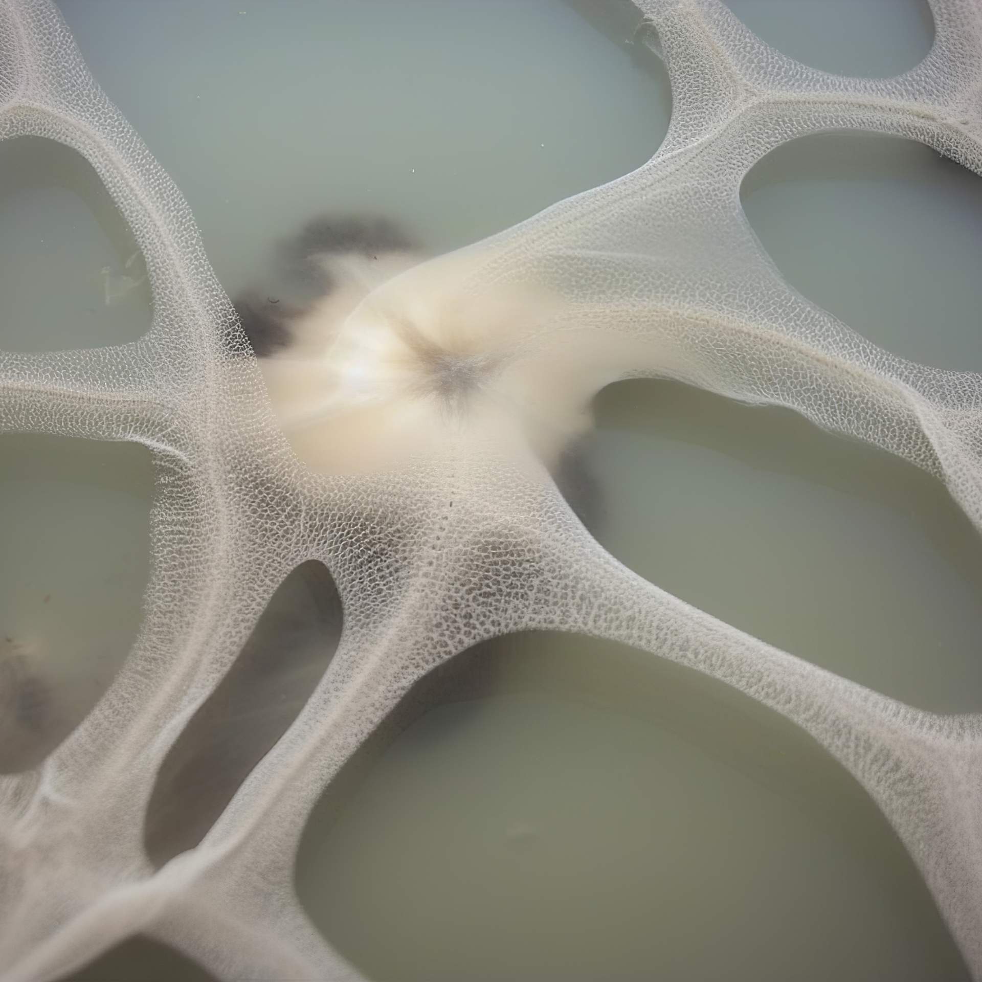 The World Per se Is In #19