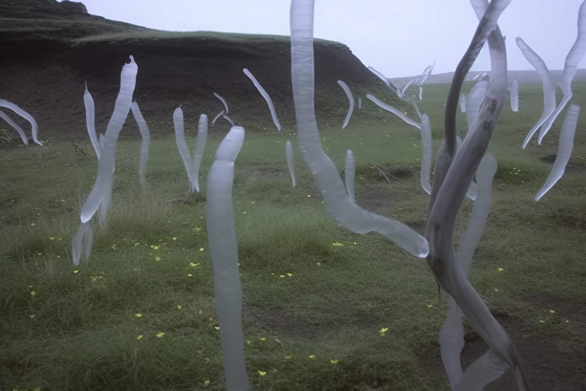 The World Per se Is In #28