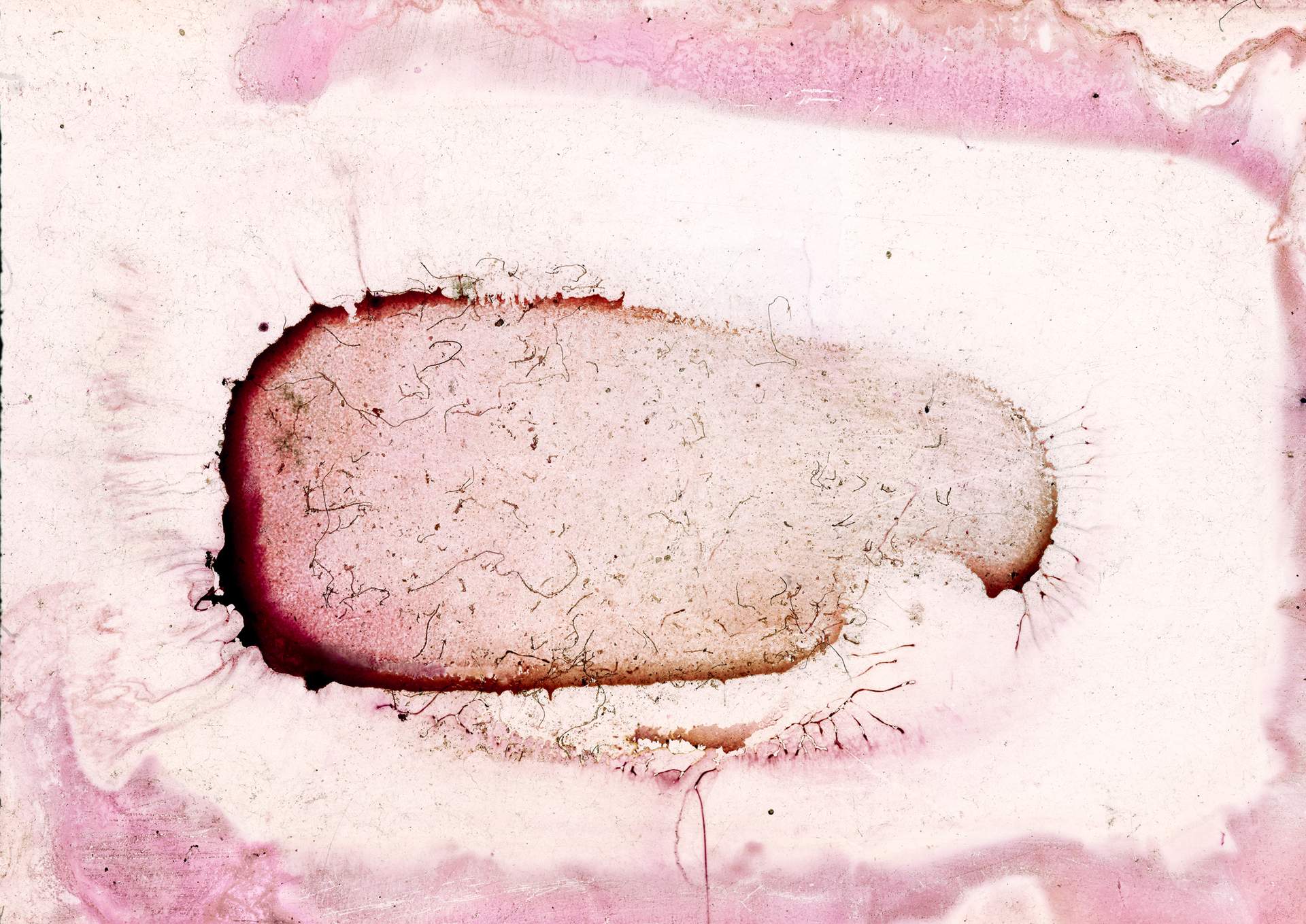 013_ARCHIVO, slide from the Fernando Salinas archive, 1978 