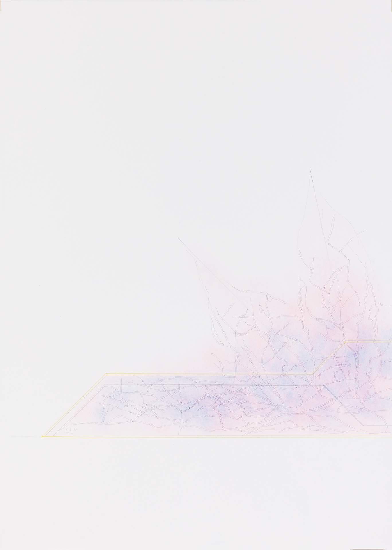 07_ARCHIVO, mold sketch, 70 x 50 cm, pencil, dry pigments, paper, 2023