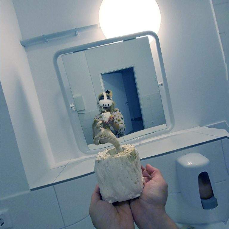 Toilet Paper Research