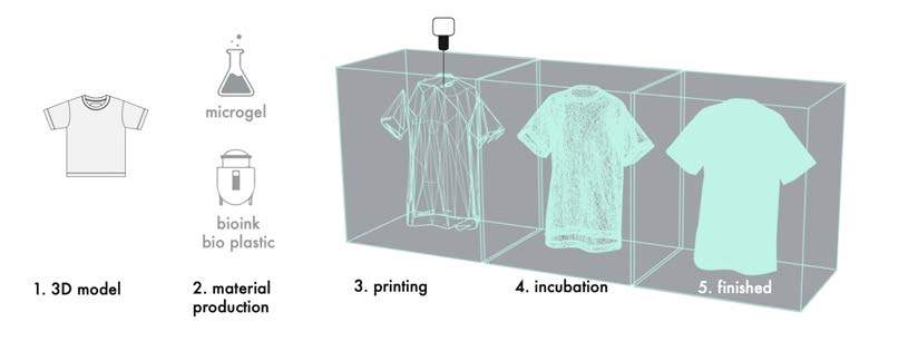 Amass: Bioprinting Bacterial Cellulose