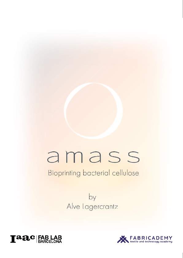 Amass: Bioprinting Bacterial Cellulose