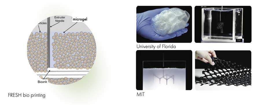 Amass: Bioprinting Bacterial Cellulose
