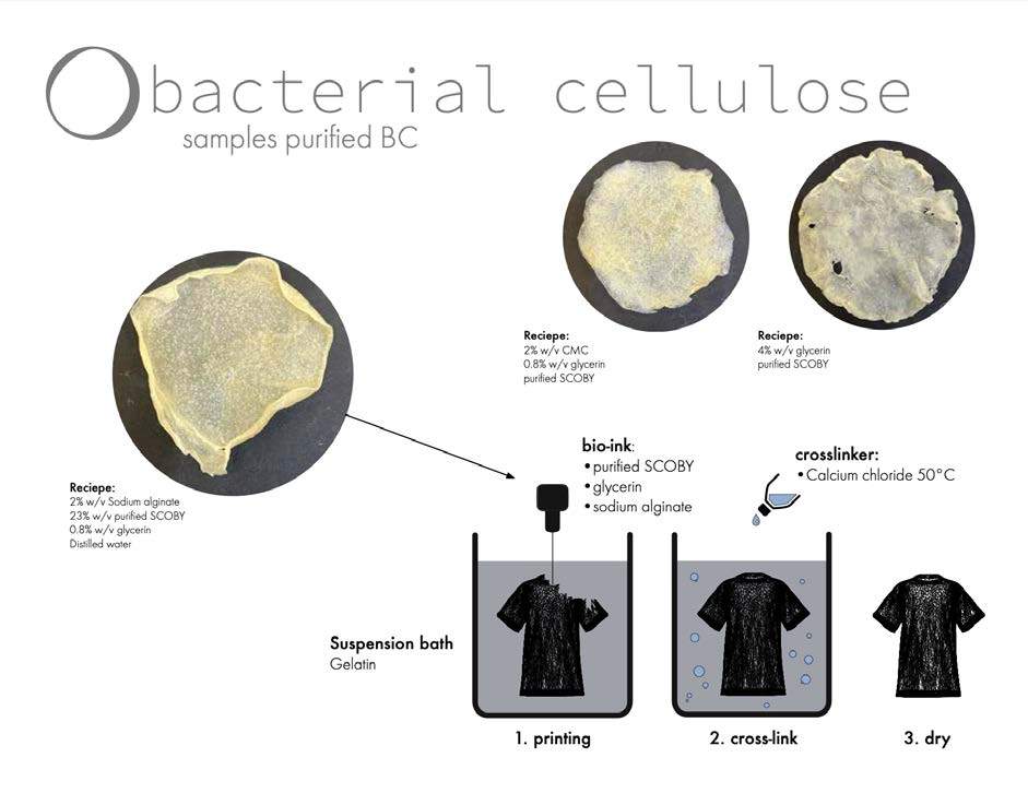 Amass: Bioprinting Bacterial Cellulose