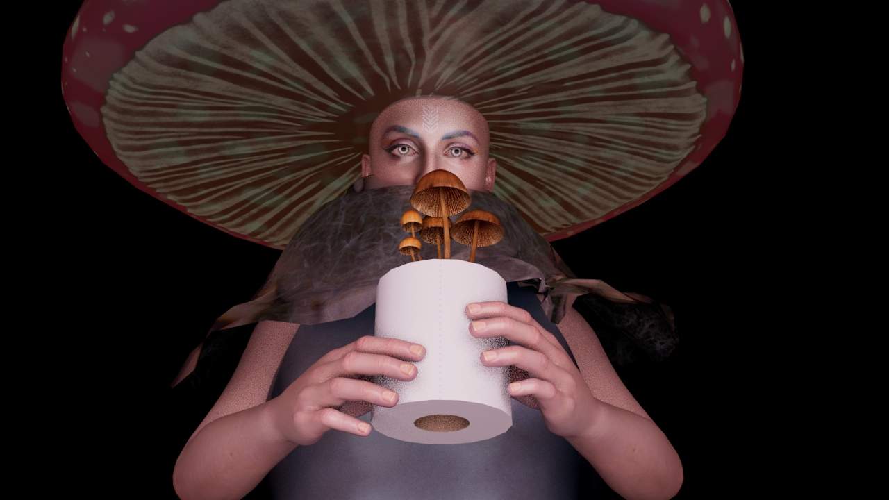 Toilet Paper Research: Wiping Away Forests for the Illusion of Sanity