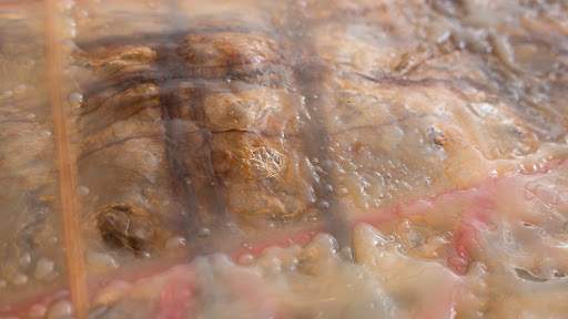 INSIDE THE JELLY BASIN