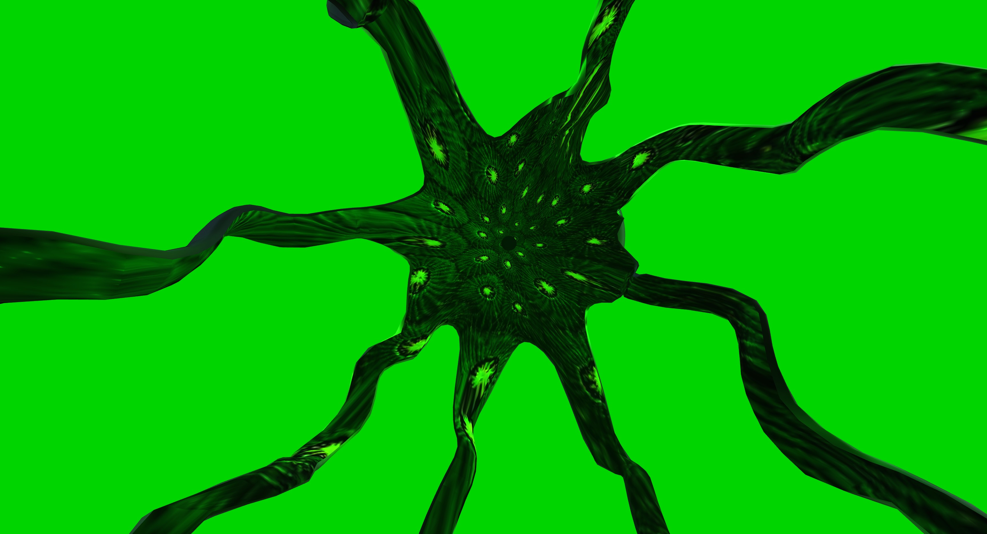 Main image for Shifting Octopus