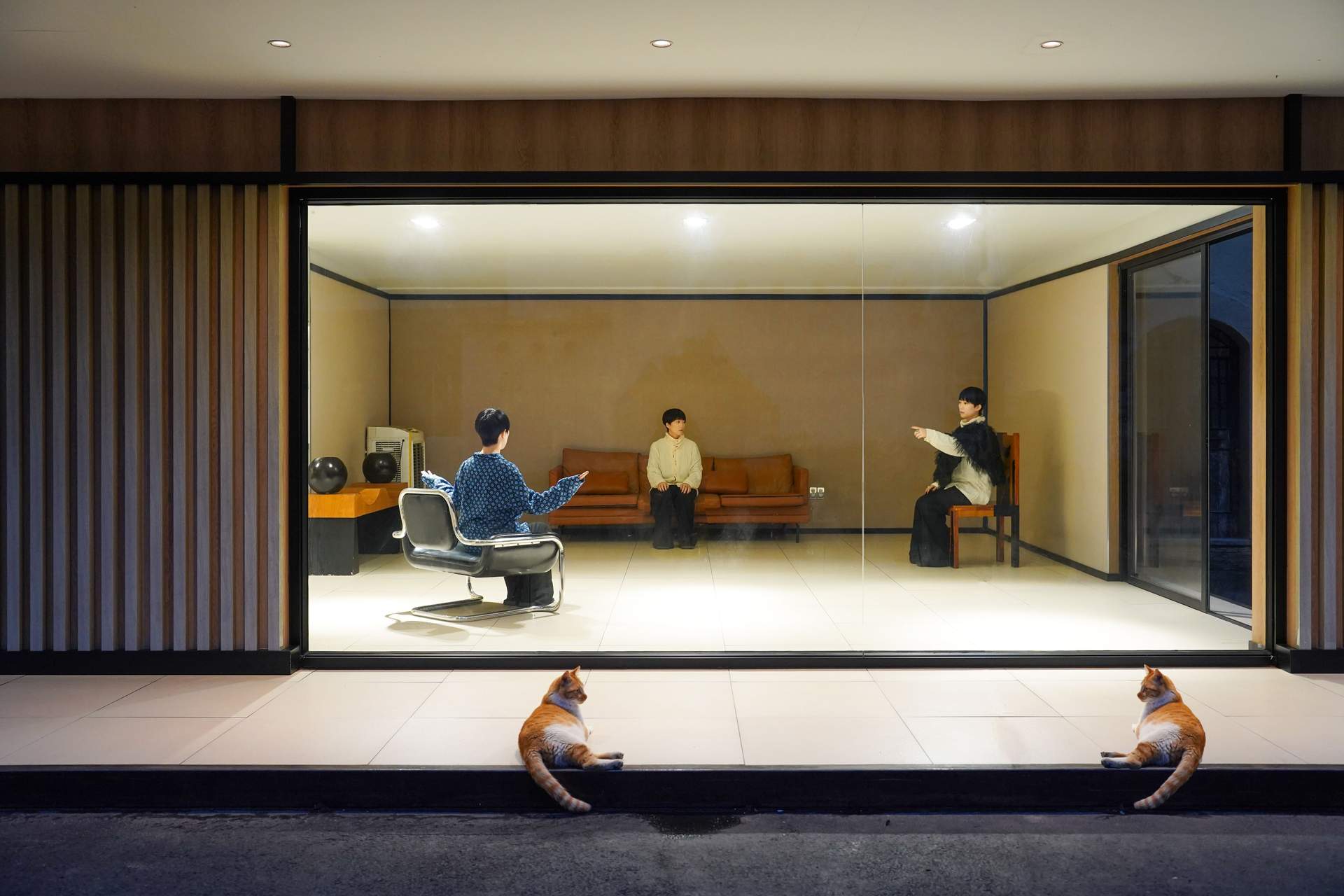 两只猫