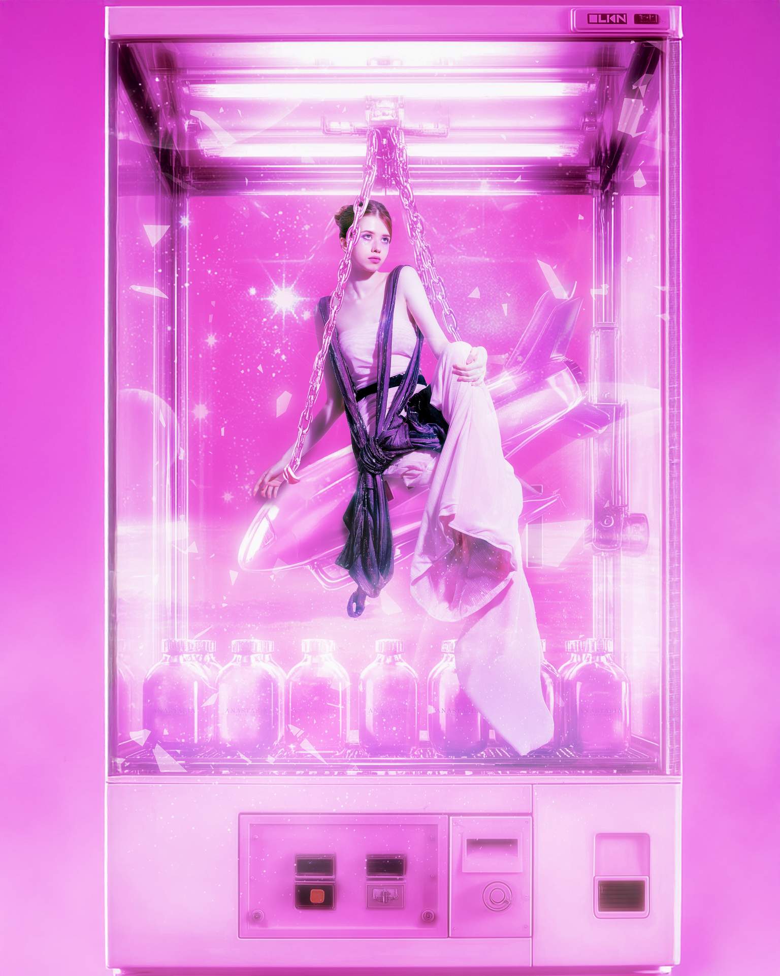 Pink Crane Reliquary (2025)
